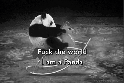 I-am-a-panda-89779 1